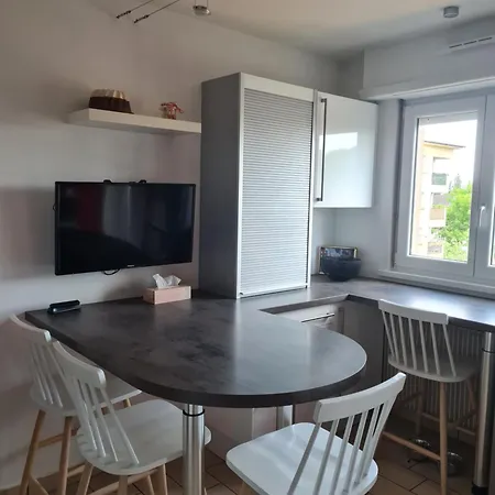 Apartment Classe 3 Etoiles, Parking Gratuit, Proche Centre-ville Colmar